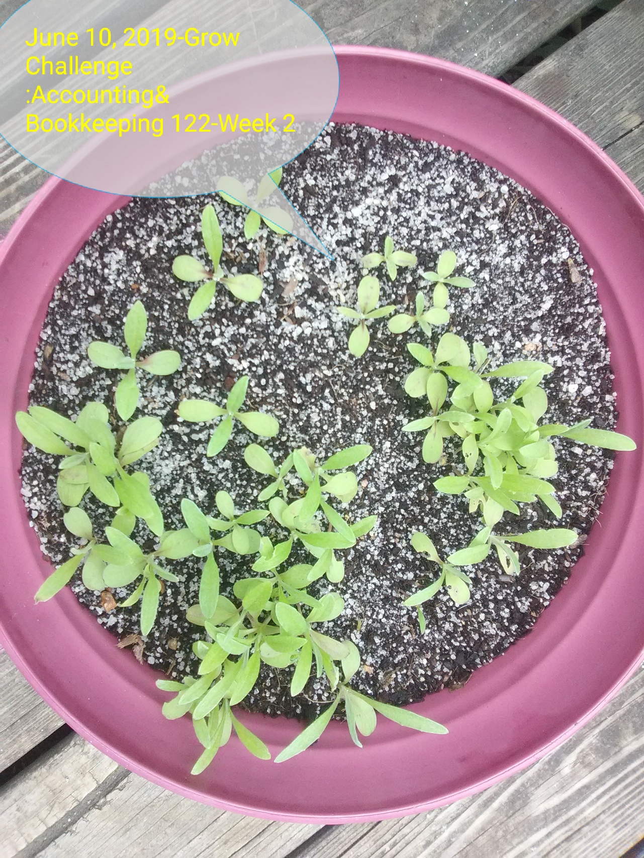 Attachment IMG_20190610_132052 (2).jpg